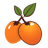 MangoCare icon