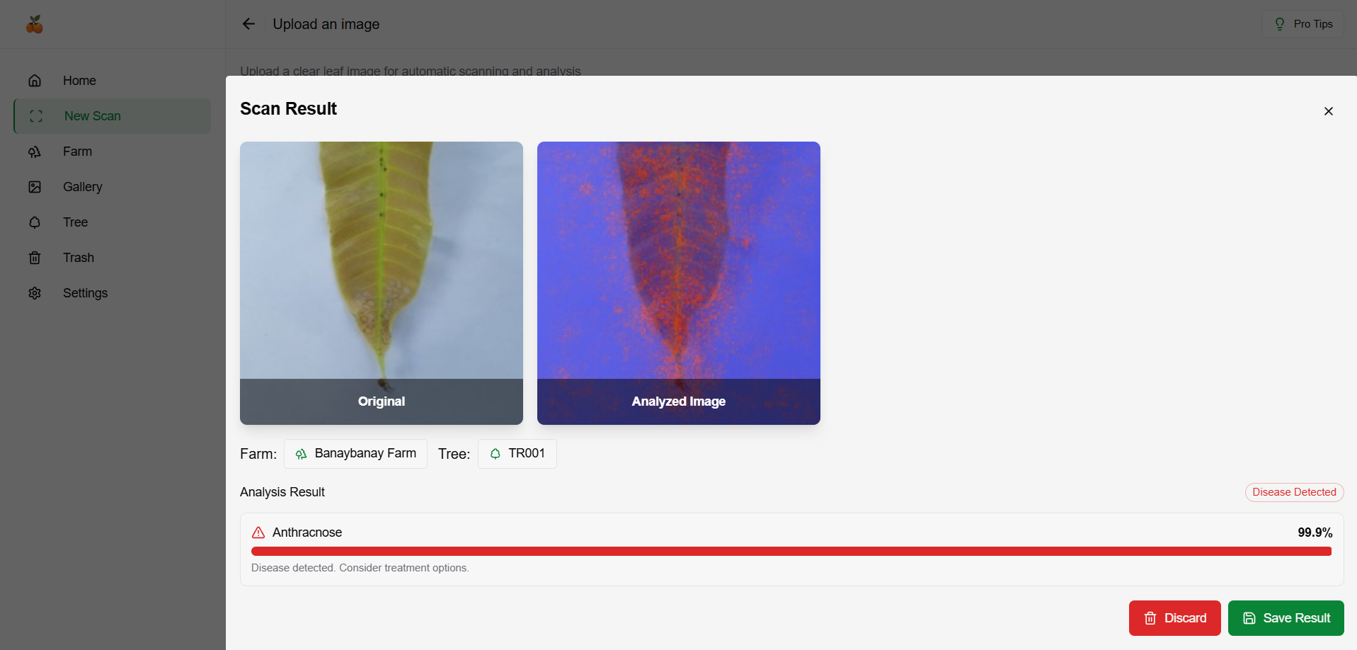 How to get and export results