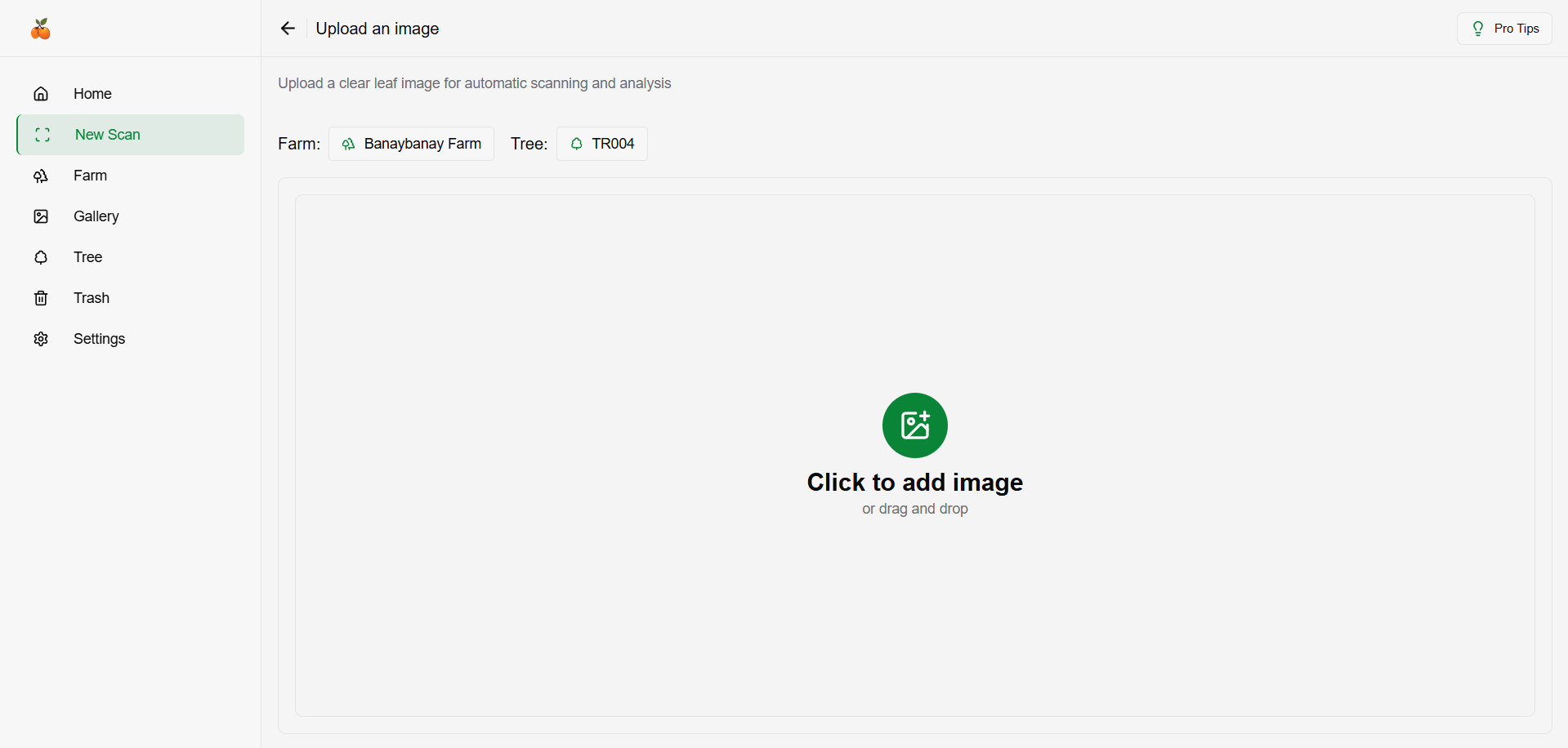 How to upload an image